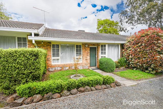 3/21 Shirley Avenue, VIC 3150