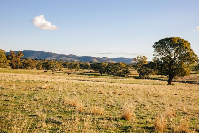 Lot 289 Garryowen Road, NSW 2584