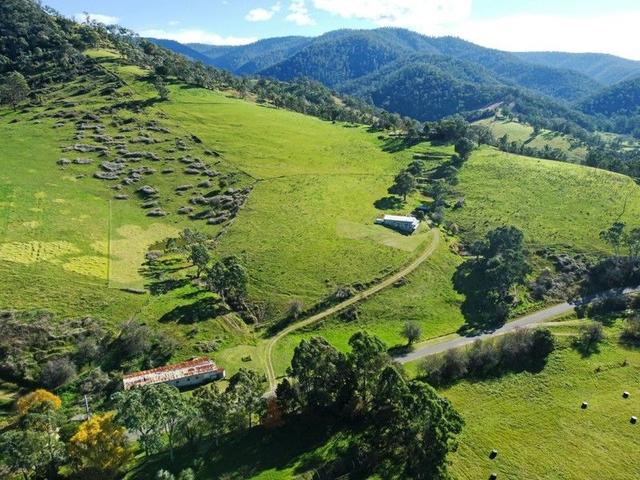 167 Dargo High Plains, VIC 3862