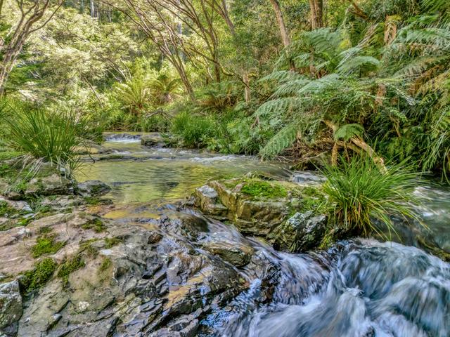 776 Lower Bielsdown Road, NSW 2453