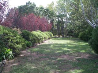 Eastern Garden Bed