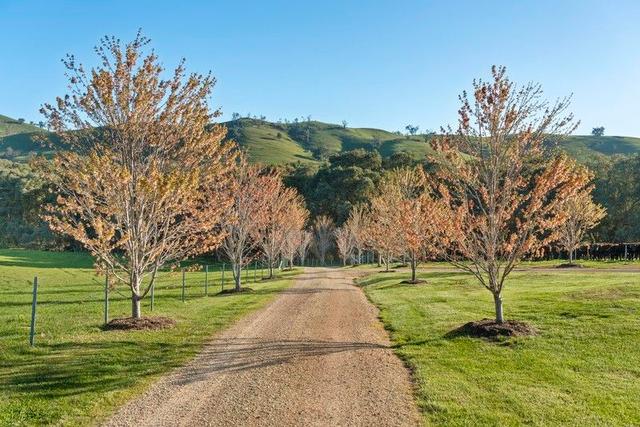 1591 Mansfield-Woods Point Road, VIC 3723