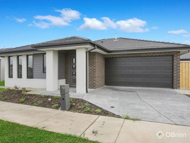 12 Montagna Drive, VIC 3978