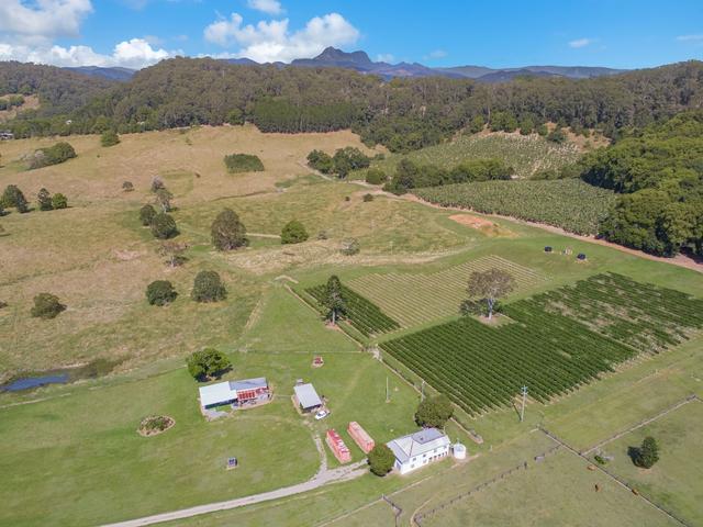 91 Dungay Creek Road, NSW 2484