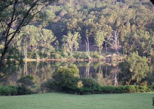 431 Koloona Drive, NSW 2540