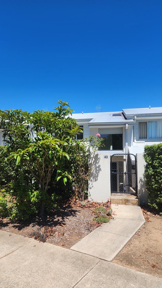 43 Bellbird Loop, ACT 2617