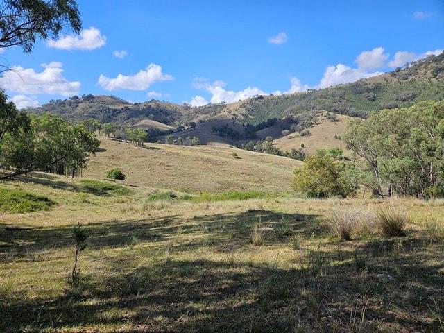 "KENDALL HILLS" Weabonga Rd, Limbri, NSW 2340