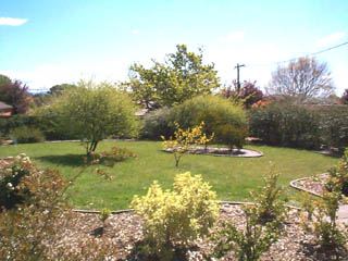 Rear yard