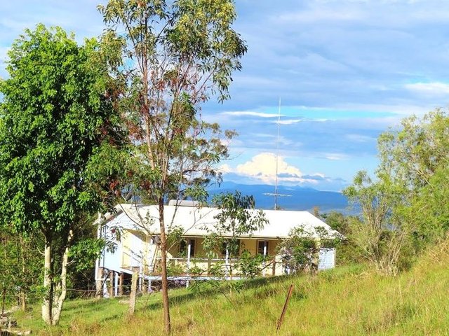 1215 Rivertree Road, QLD 4380