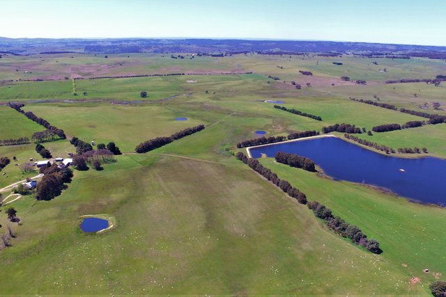 7361 Boorowa Road, NSW 2583
