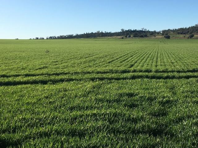 Mundry, NSW 2379