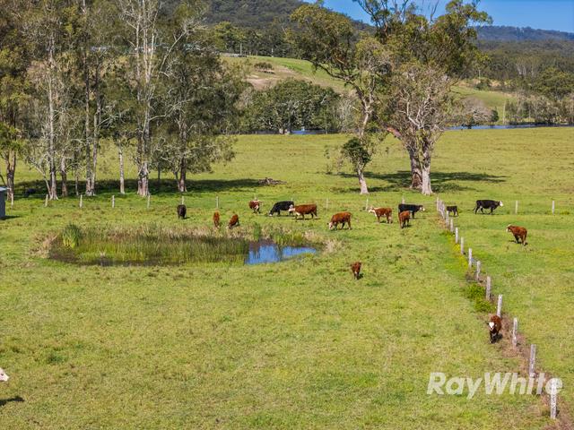 19 Kestevens Road, NSW 2423