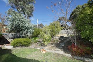 Rear garden (2006-05-16)