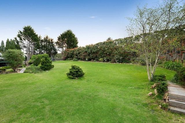 16 Maple Grove, NSW 2782