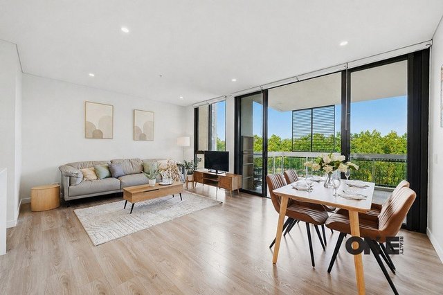 216/1 Kingfisher Street, NSW 2141
