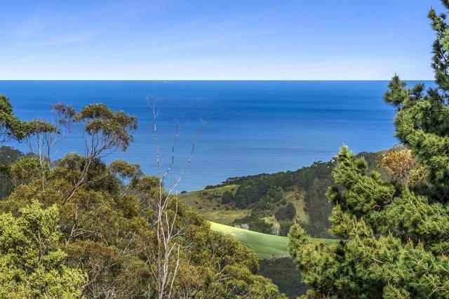 675 Skenes Creek Road, VIC 3233