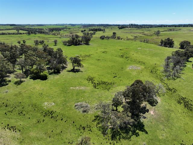 Lots 171, 248, 313, 316 Carrabungla Road Roslyn, NSW 2583