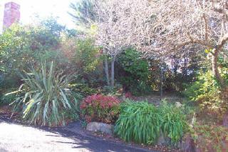 Garden (2001-11-22)