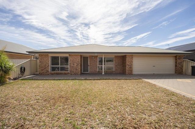 55 Peterson Circuit, SA 5540