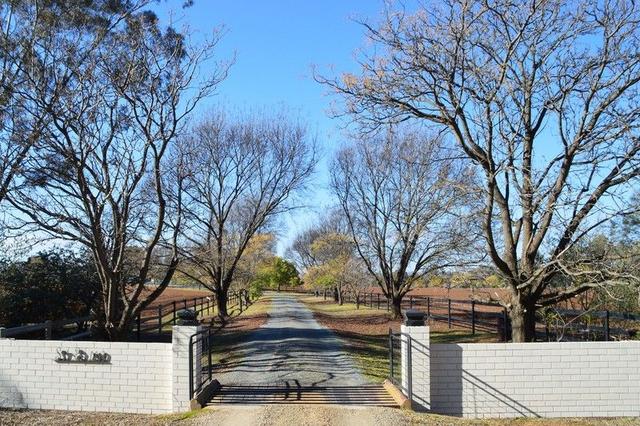 2856 Olympic Highway, NSW 2650