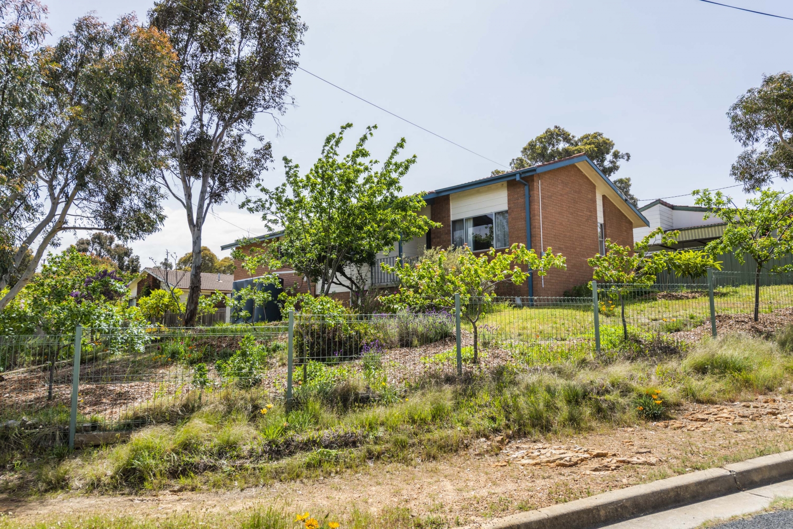 1 Harman Place, Queanbeyan West NSW 2620 Allhomes