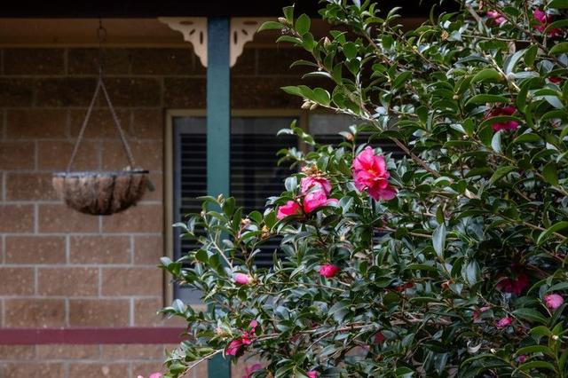 21 Kingfisher Drive, NSW 2429