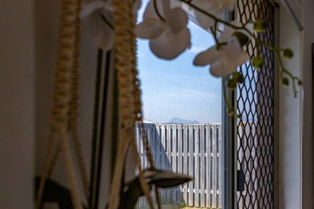 15 Canungra Street, QLD 4306