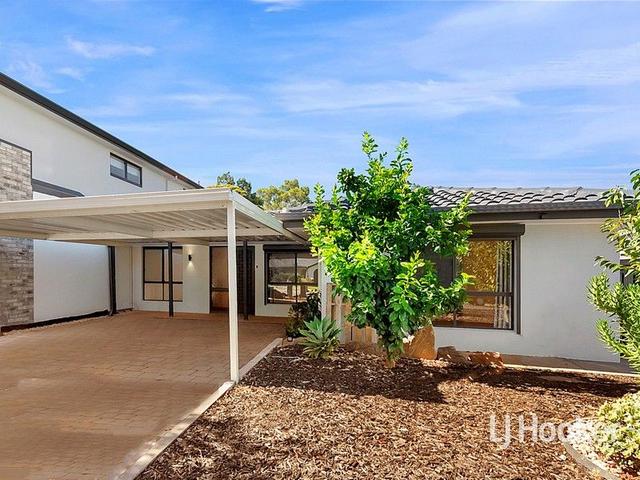 3 Osborne Avenue, SA 5097