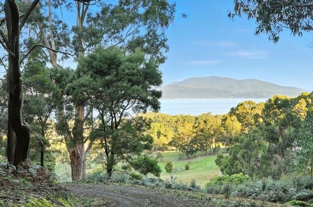 50 McDowall Street, TAS 7163