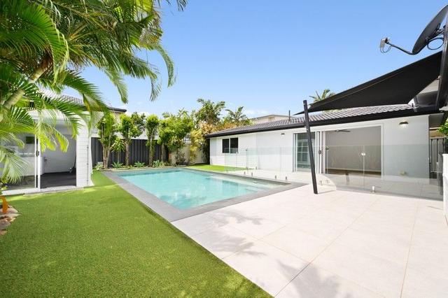 19 Shoveller Avenue, QLD 4216