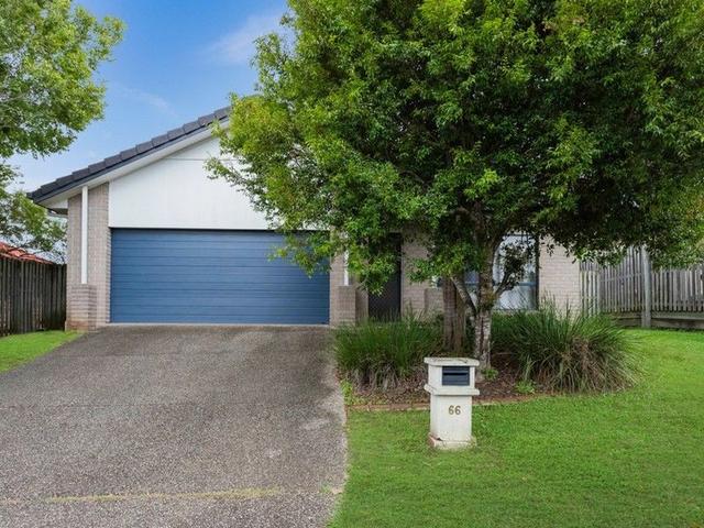 66 Benjamina Drive, QLD 4301