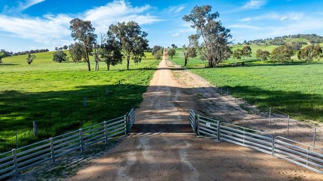 Lot 1/279 & Lot 2/281 Jingellic Road, NSW 2644