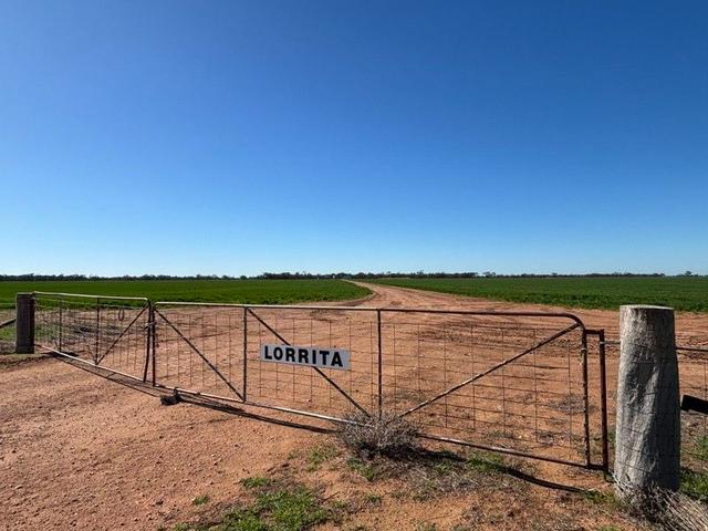 Cleary  Road, VIC 3533
