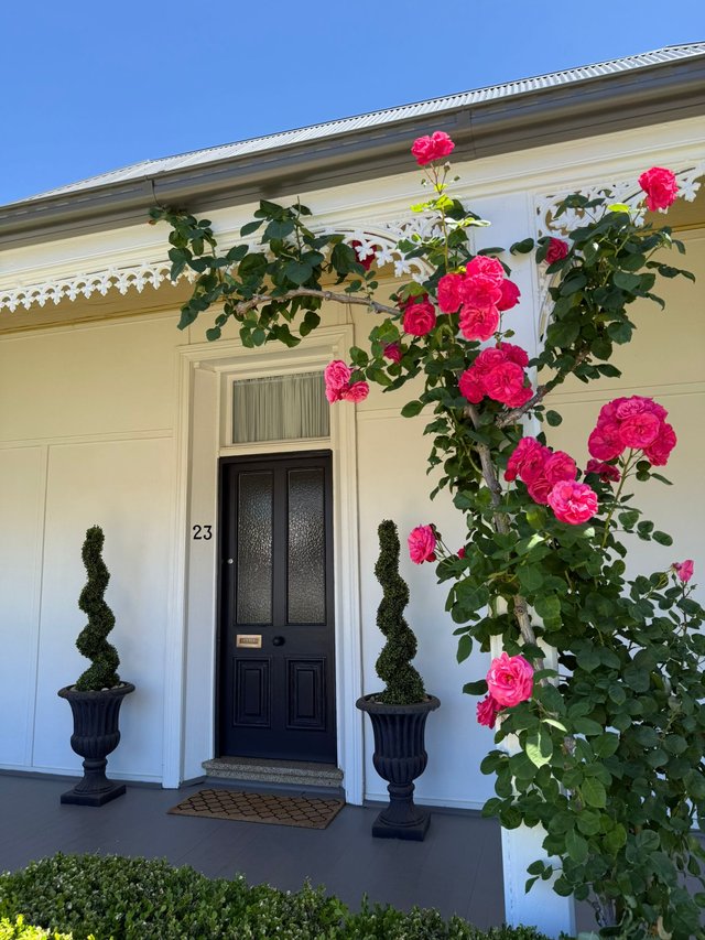 23 Forbes Street, NSW 2810