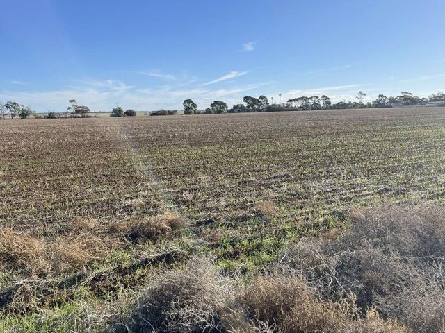 Lot 405 North West Terrace, SA 5540
