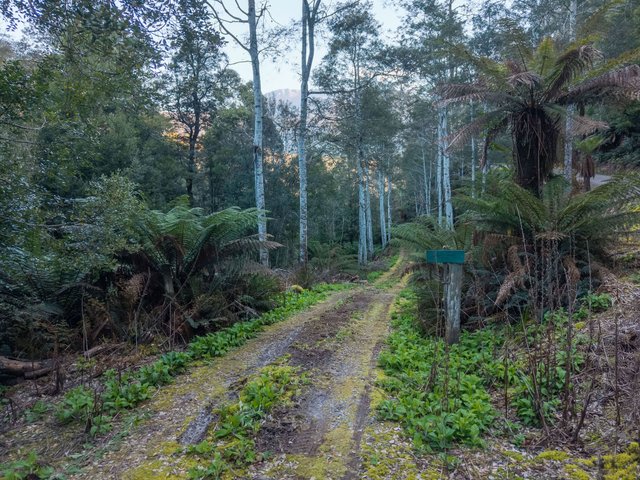 1759 Loongana Road, TAS 7315