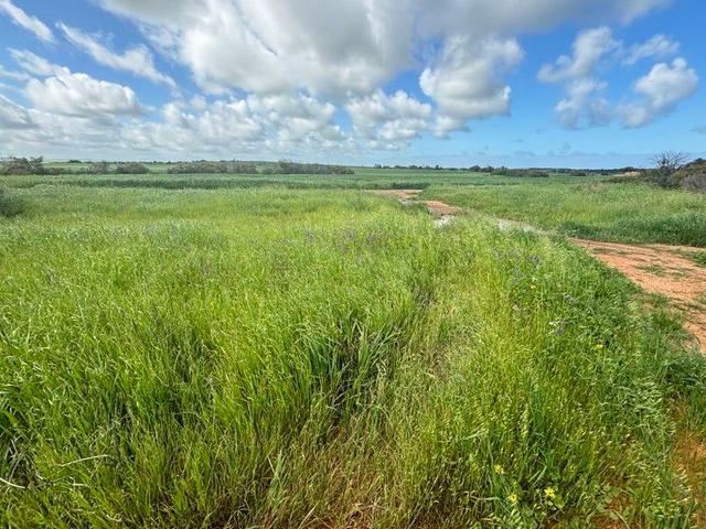 lot 308 Bootenal Road, WA 6532