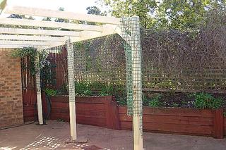 Garden (2005-09-08)