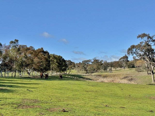 77 Newton Road, NSW 2594