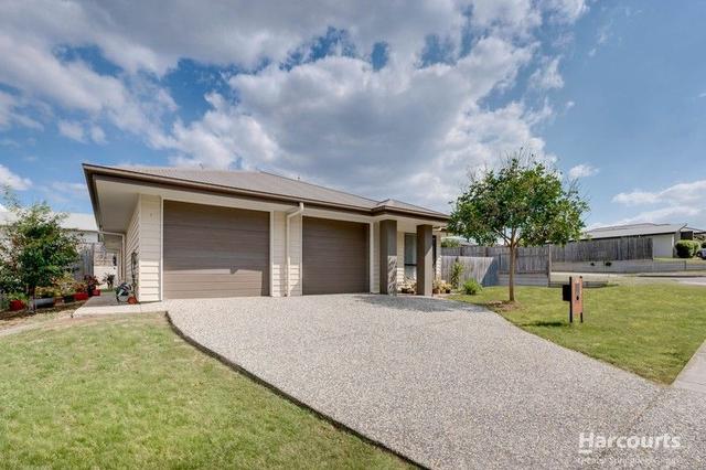 31 Baird Circuit, QLD 4301