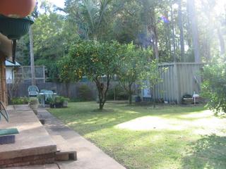 Garden (2010-07-09)