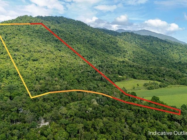 388 Finlayvale Road, QLD 4873