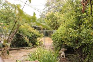 Backyard (2012-01-26)