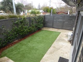 Backyard (2018-10-15)