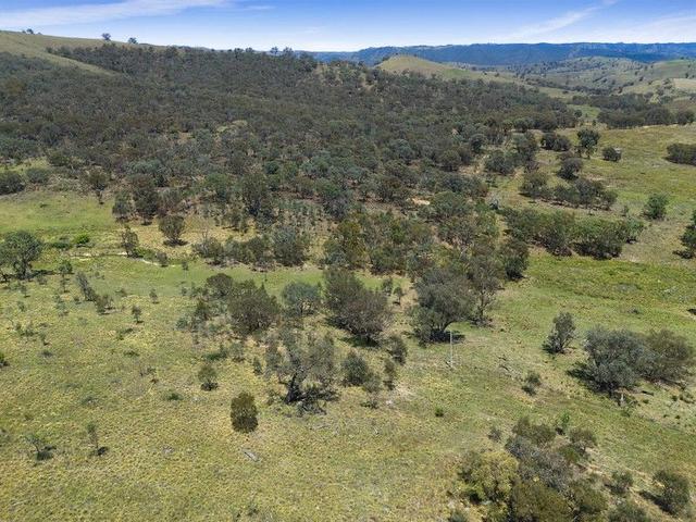 2238 Triamble Road, NSW 2850