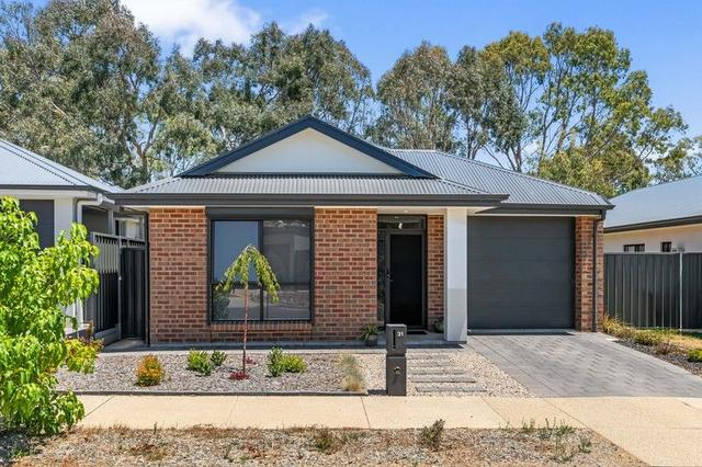 31 Highfield Street, SA 5251