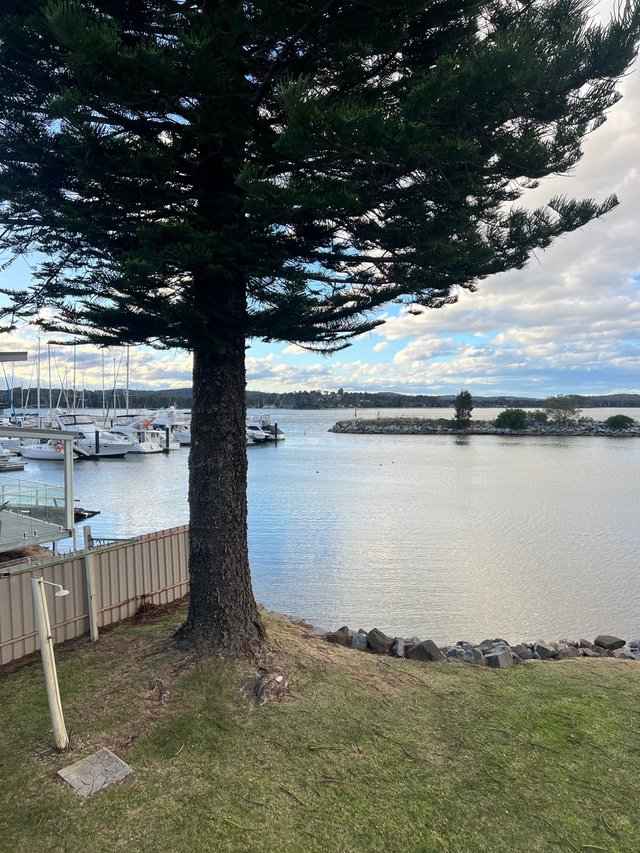 Real Estate for Rent in Batemans Bay, NSW 2536 Allhomes