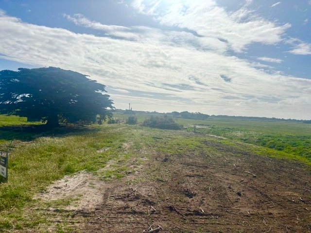 . Butter Factory Road, TAS 7255