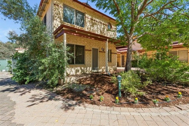 5/1 Pitt Street, WA 6056