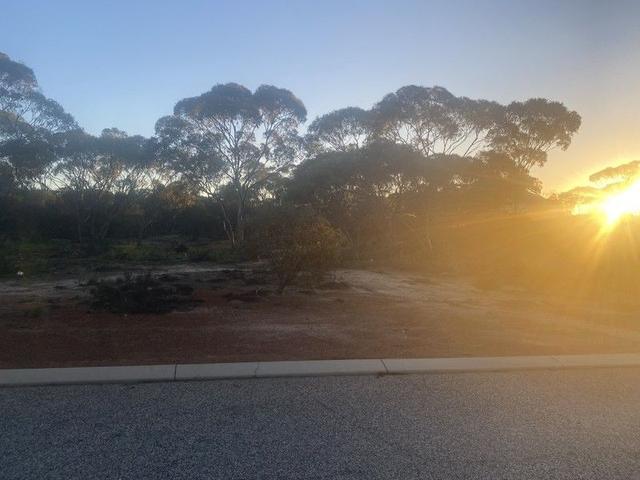 Lot 121 Wilson Street, WA 6485